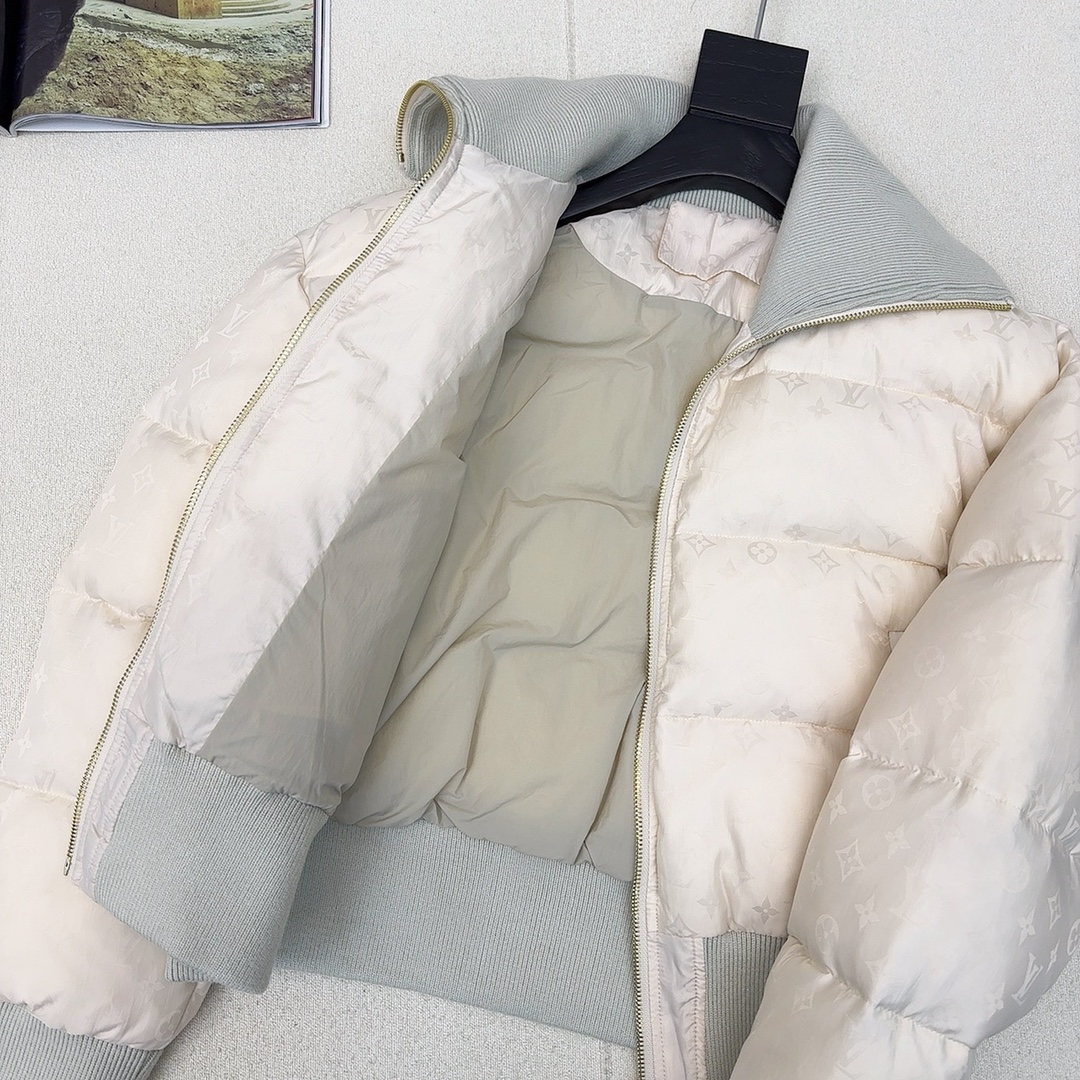 Louis Vuitton Down Jackets